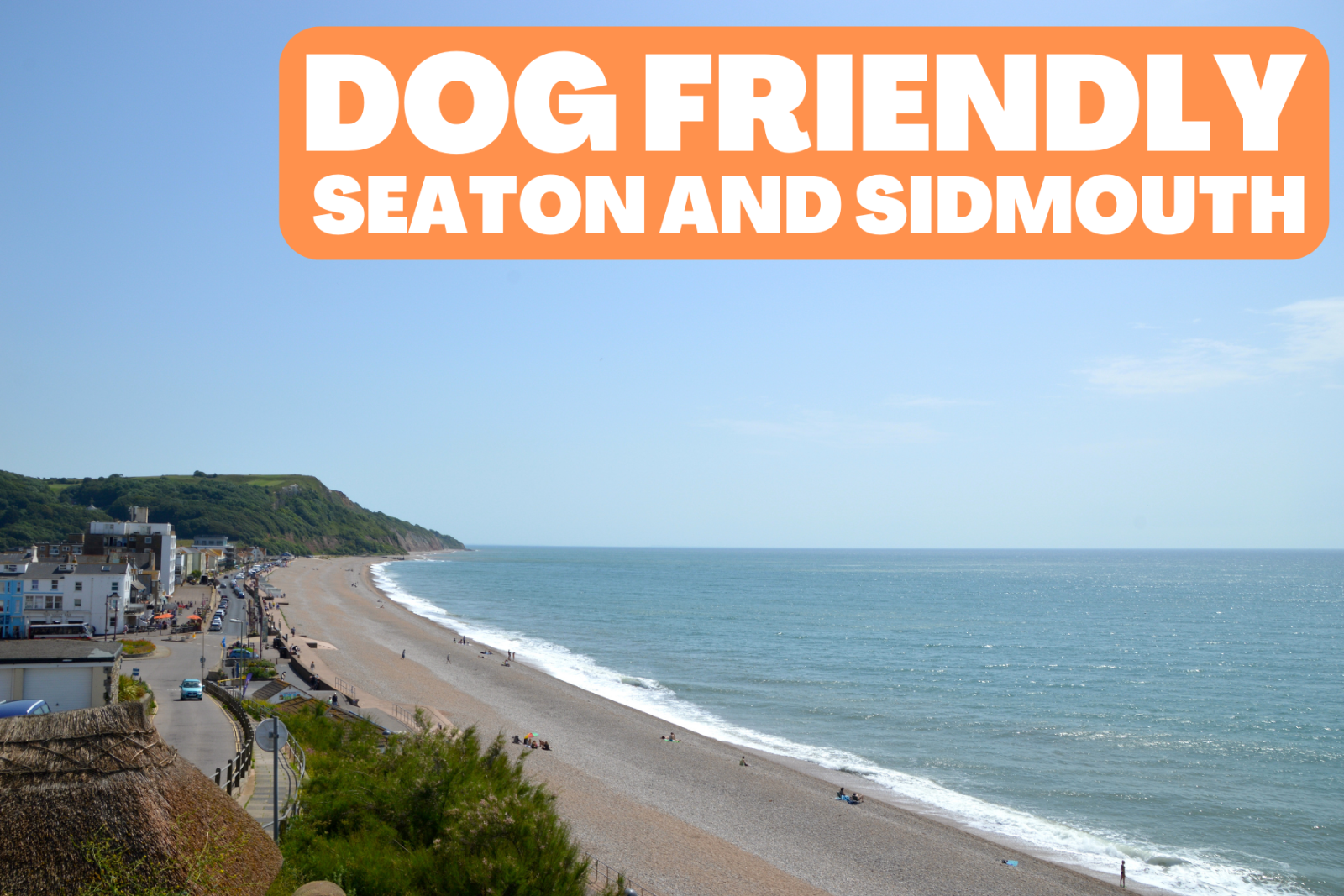 Dog friendly Sidmouth and Seaton